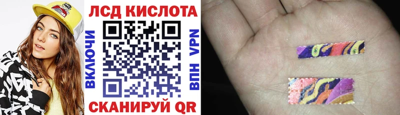 кракен tor  где купить наркоту  Заинск  Наркотические марки 1500мкг 