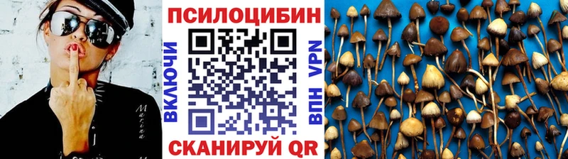 Псилоцибиновые грибы Psilocybine cubensis  Заинск 